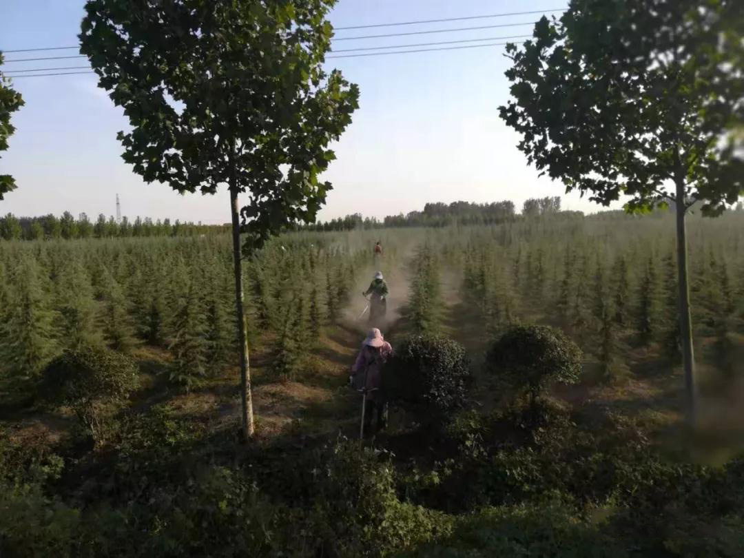 NG28·(南宫)相信品牌实力官网