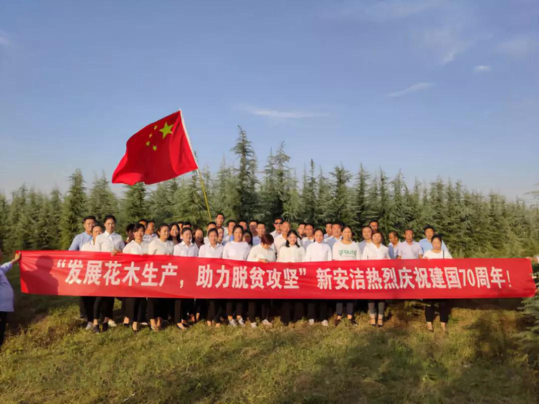 NG28·(南宫)相信品牌实力官网