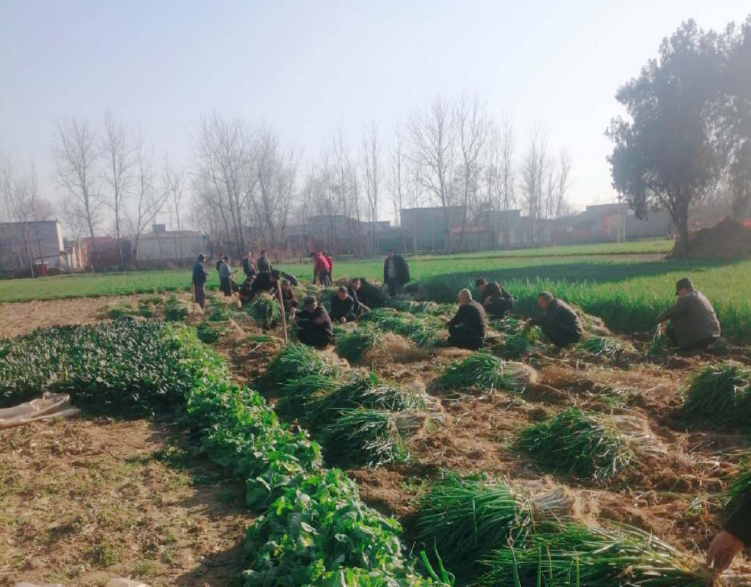 NG28·(南宫)相信品牌实力官网