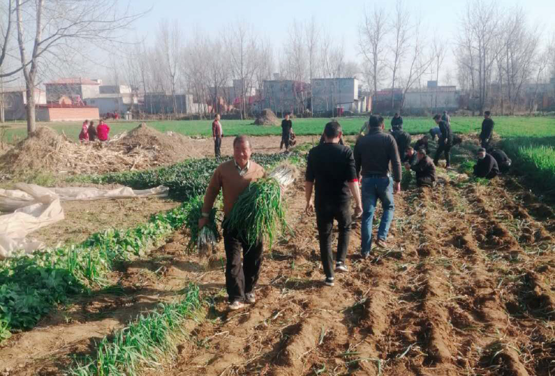 NG28·(南宫)相信品牌实力官网